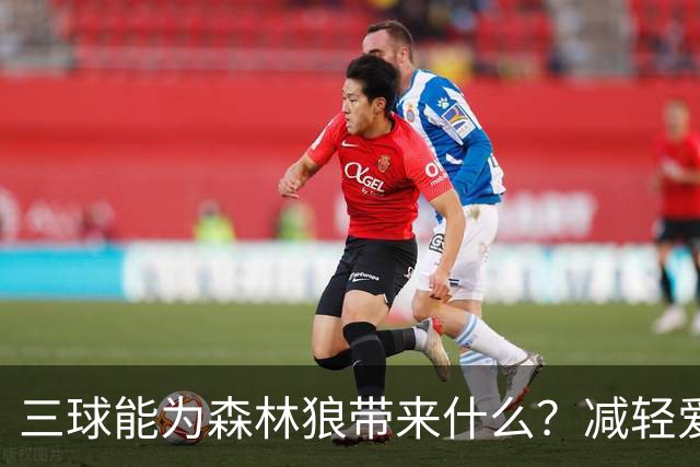 三球能为森林狼带来什么？减轻爱德华兹单打负担 麦丹能惩罚对手
