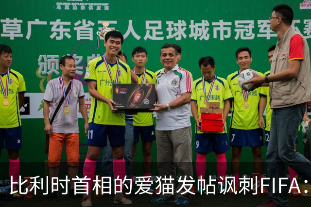 比利时首相的爱猫发帖讽刺FIFA：“红牌？”我照样继续踢！