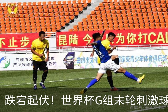 跌宕起伏！世界杯G组末轮刺激球迷心脏 伊朗狂喜过后遭打击